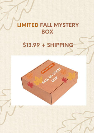 Limited Edition Fall Mystery Box